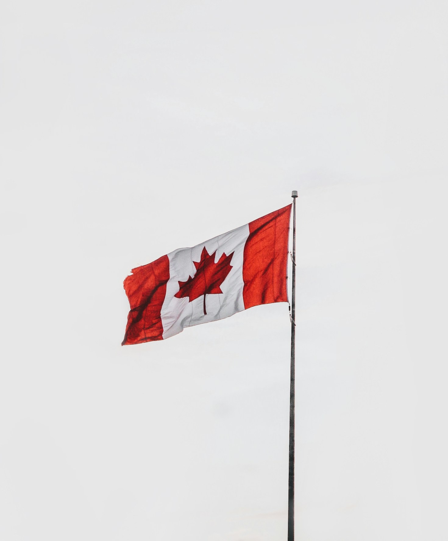 Understanding Employer-Sponsored Job Opportunities in Alberta